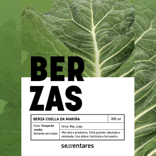 Sobre de Berza Coella de la Marina
